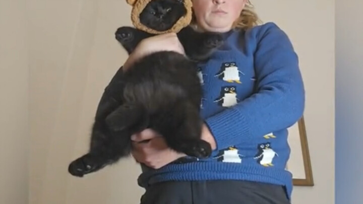 هذا الهرير الصغير المطاطي سأقبّله حتى الموت إذا أمسكت به!