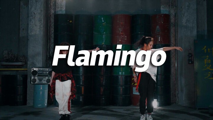 正义SEGI编舞《Flamingo》，街头与浪漫【口袋舞蹈】