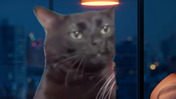 Khi bạn nhận ra năm 2024 đã đến