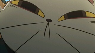 Cat Master’s Seven “Virtues”