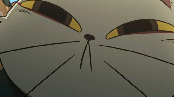Cat Master’s Seven “Virtues”