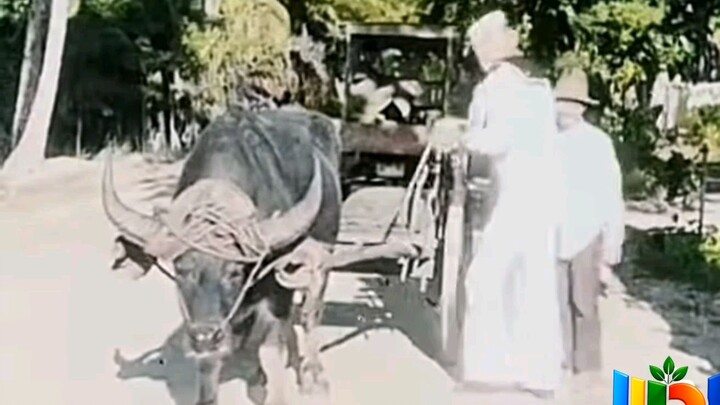 1930  Rare Footage in the Philippines