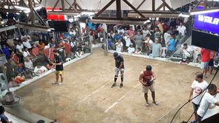 2nd fight