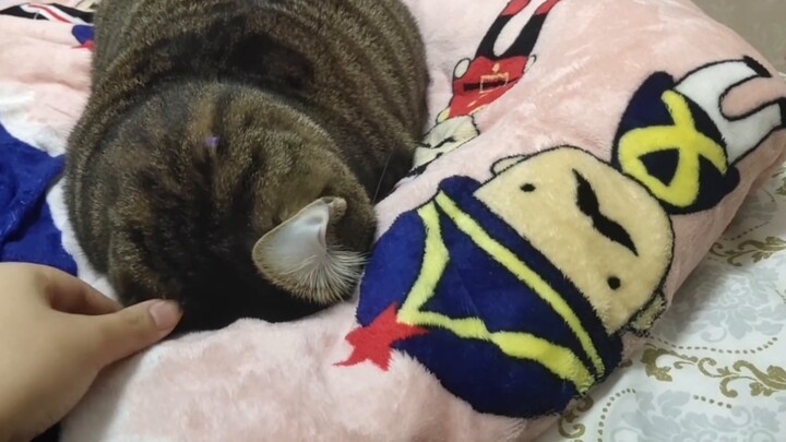 Doesn’t it sound like your mother calling you to get up?