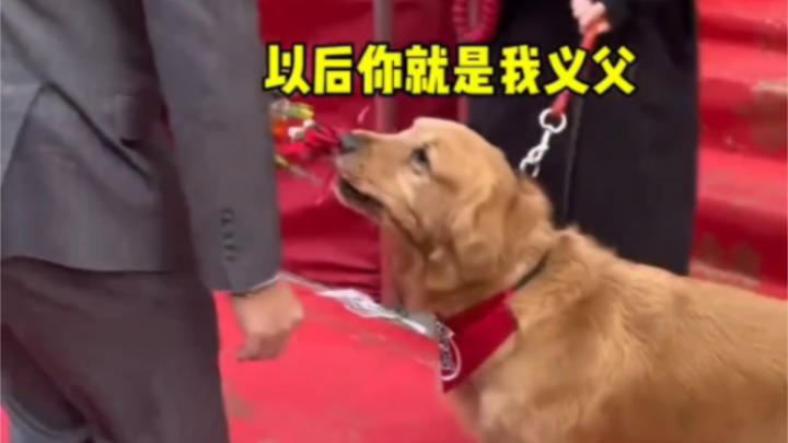 Báo cáo đảm bảo làm hỏng nhiệm vụ