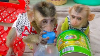 Wow so cute when adorable Toto & Yaya having fun playing around plastic square chair together