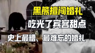黑熊不请自来参加婚礼 吃光了甜点 新娘抓狂