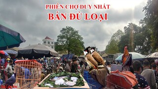 Phiên Chợ Duy Nhât Bán Đủ Loại Dành Cho Các Bạn Yêu Chim Đến Là Mê I Thai Lạng Sơn