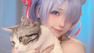 [Tuanbao] เหนียว เฉียบ หอมหวาน! ! | Rem cos2.0