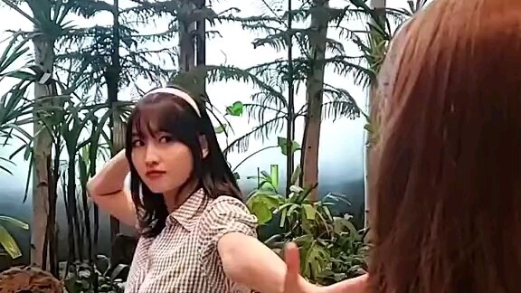 [TWICE] TikTok của Nayeon và Momo khiến tôi bật cười