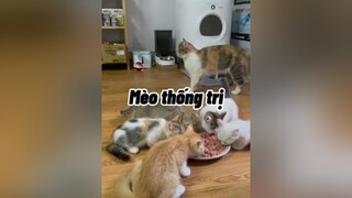 Cảm ơn mọi người đã giúp đỡ mình. Cám ơn em  bạn     Và nhiều bạn nữa hỏng chơi tik tok mình hỏng tag dc