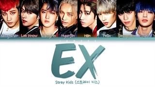 Stray Kids (스트레이 키즈) - ＜IN生＞ UNVEIL : TRACK "미친 놈 (Ex)" [Color Coded Lyrics/Han/Rom/Eng/가사]
