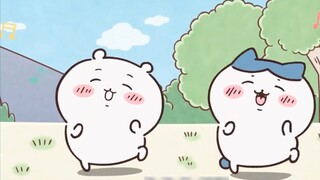 【chiikawa】Raja Tari: Ayahnya adalah kakeknya