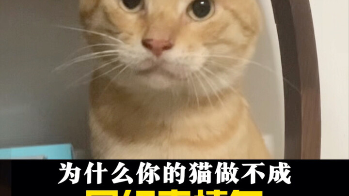 没有标题会不会有人进来看