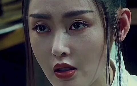 In the end, Nangong has fallen in love—there will never again be a Shijiu Ting in this world.