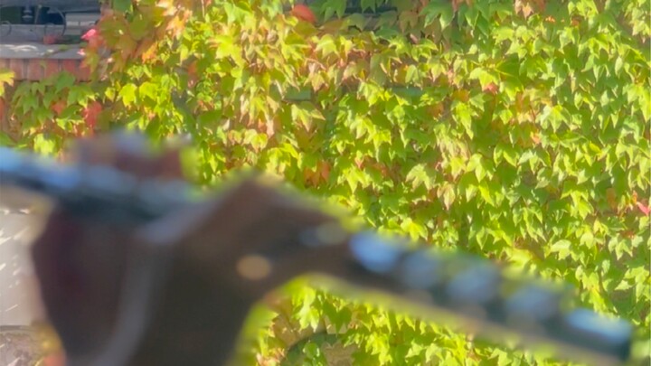 Vương quốc Locke - Đại lộ Peter (Phiên bản Vịnh Nàng Tiên Cá không có tiếng sóng)