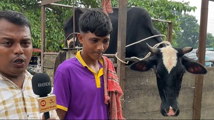 রানী গরু দুধের জন্য সেরা গরু
