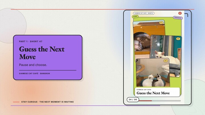 Siamese Cat Café #24 — Guess the Next Move + Rate These Cat Loaves