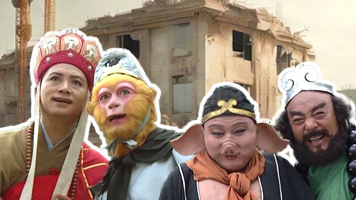 The monkey wants a home, a place big enough for monkeys.