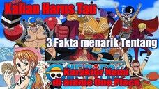 Kalian Harus Tau 3 Fakta Menarik Tentang Karakter Nami di Anime One Piece