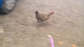和坤坤一起放烟花