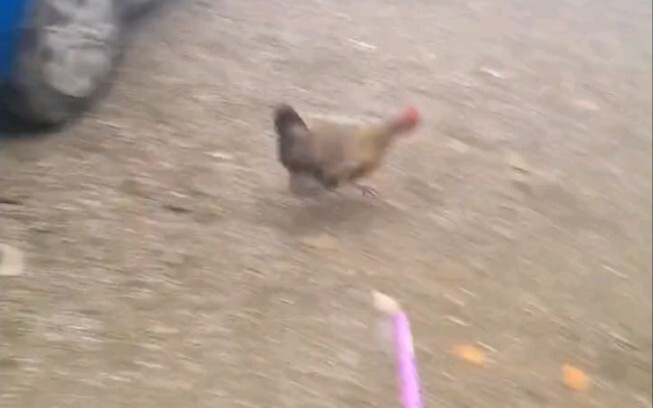 Setting off fireworks with KunKun