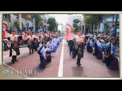 Lễ hội Shonan Yosakoi Nhật Bản