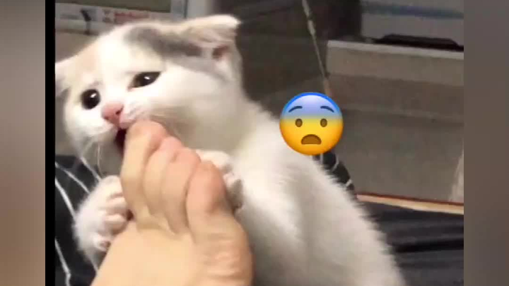 Ah, wow you!!! A funny soul!