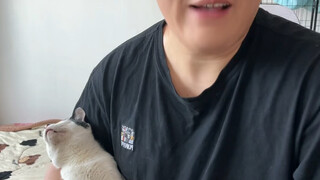 男通真别太离谱好吗？我是宠物博主