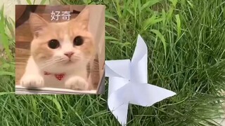 都多大的人了还整天玩小风车，能不能成熟一点？