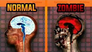 Zombie Virus started to Infest the World! | Plague