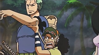 Zoro, belai saja dia