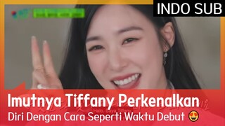 Imutnya Tiffany Perkenalkan Diri Dengan Cara Seperti Waktu Debut 😍 #YouQuizOnTheBlock3 🇮🇩INDOSUB🇮🇩