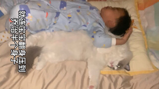 How much do cats love human cubs? In the middle of the night, half of the cat's body is pressed down