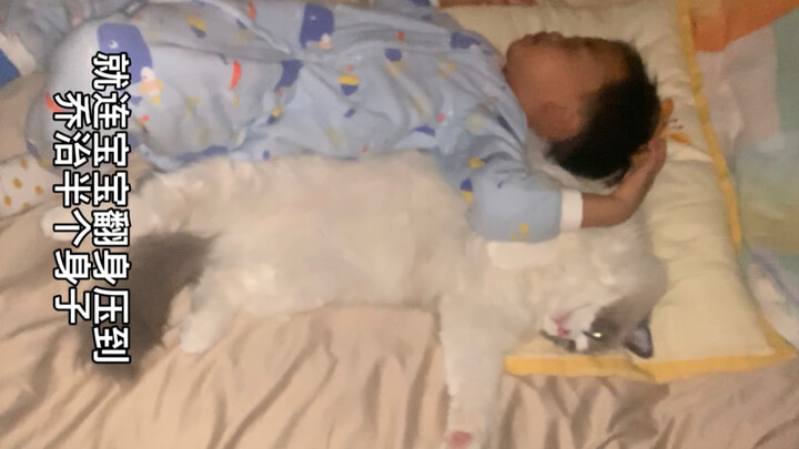 How much do cats love human cubs? In the middle of the night, half of the cat's body is pressed down