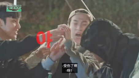 Why are they so funny, seriously?