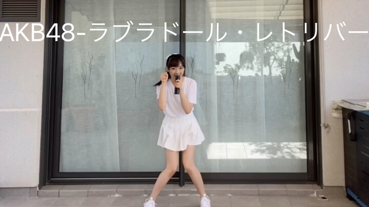 【DAMAKO】AKB48 - Labrador Retriever – Chó Labrador – Đĩa đơn về chó