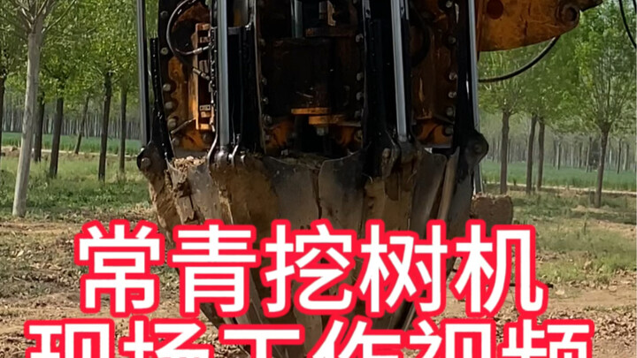 Việc chuyên môn hãy để máy móc chuyên nghiệp đảm nhận