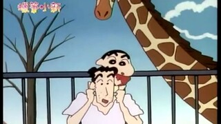 Hoạt động của sở thú