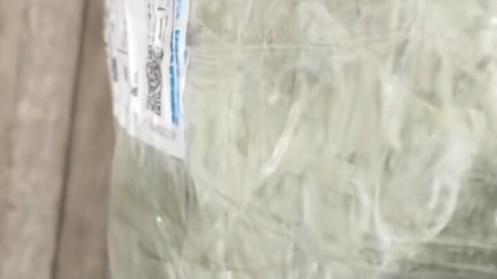 No buying, no hurting—say no to online pet shopping! Please share widely!