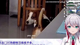Japanese natural little sister reads "I used to feel guilty about my dog when I went out until I ins