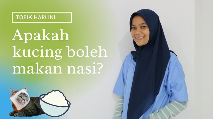 Apakah kucing boleh makan nasi?