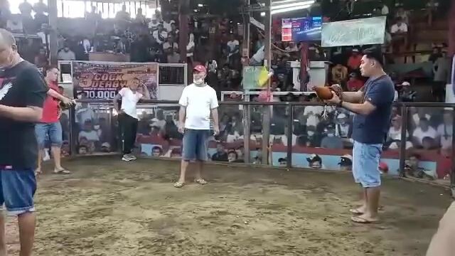 Win Hackfight Gold ulit