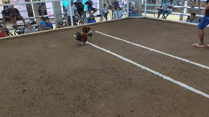 10/27/2025 Champion pasok nasa elimination