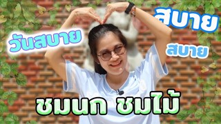 พักผ่อนหย่อนใจที่สวนปาล์มฟาร์มนก