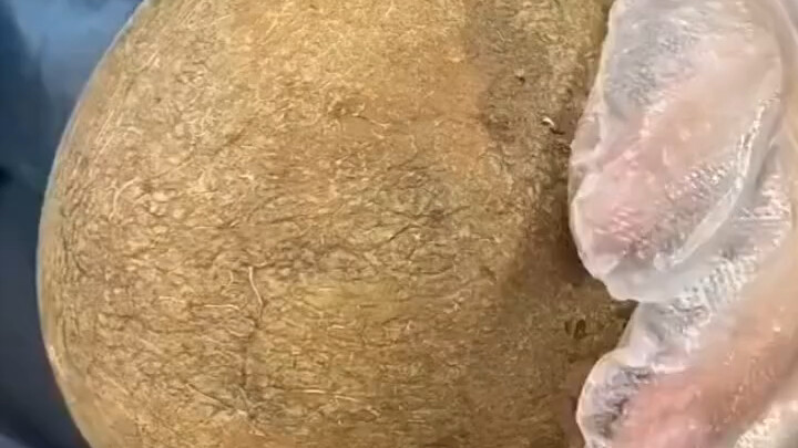 解压日常2