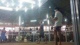 2nd Fight 2cocks hulutan Champion Medyo Malaki kalaban Using Talisay PUGO SPORTS COMPLEX  CHAMPION!!