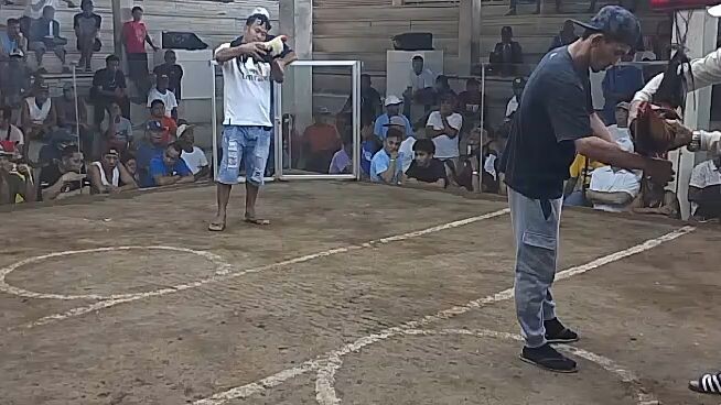 my first fight two hits