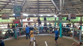 My 1x Winner Hatch Grey (Hack fight) Sagbayan Cockpit Arena