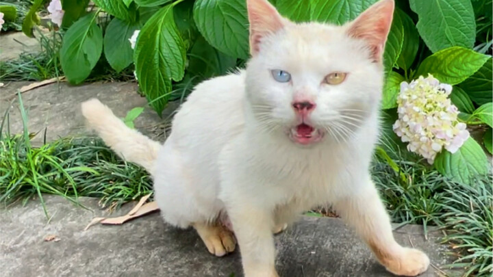 Turns out this was a long-orchestrated encounter...